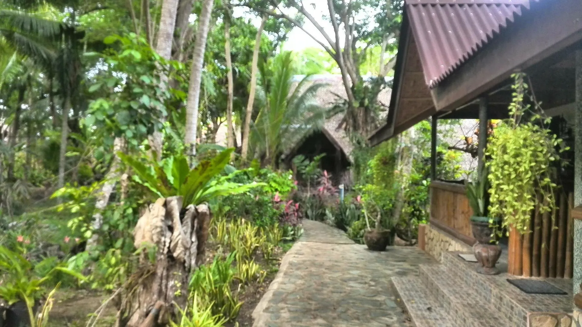 Bananaland Cottages Tawala